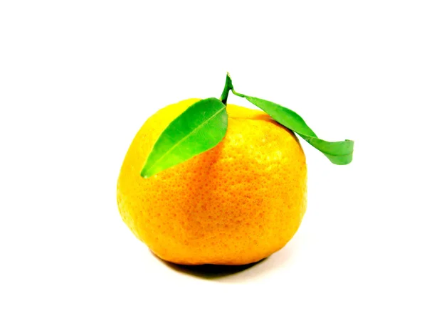 Ensam tangerine — Stockfoto
