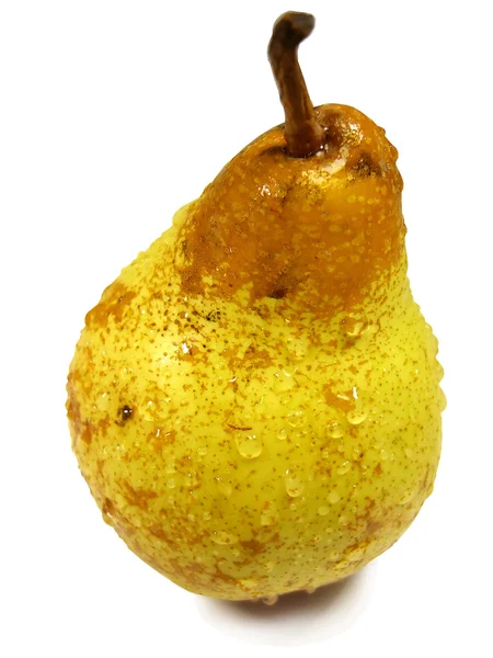 Pyrus communis (vanliga päron) — Stockfoto