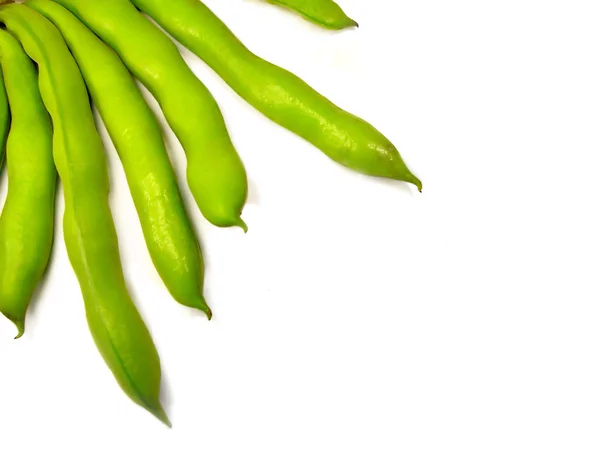 Broad bean pods — Stock Photo, Image