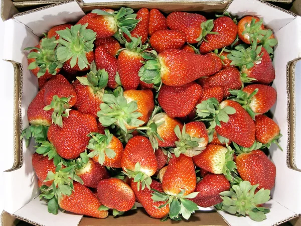 Erdbeeren von oben — Stockfoto