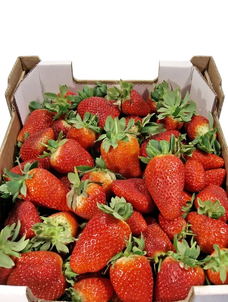 Schachtel Erdbeeren — Stockfoto