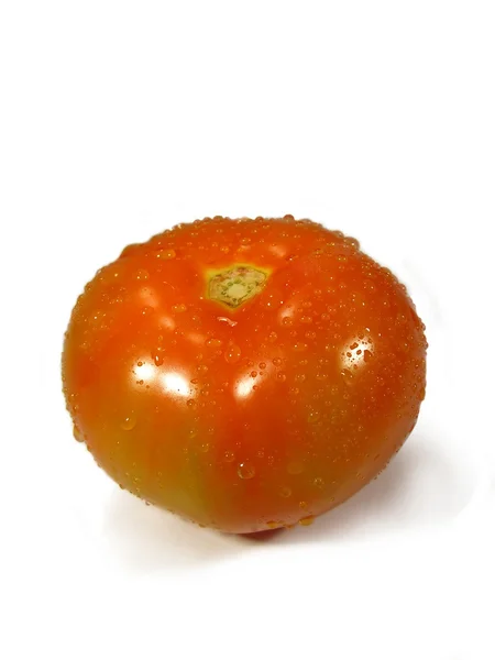孤立的 tomatoe — 图库照片