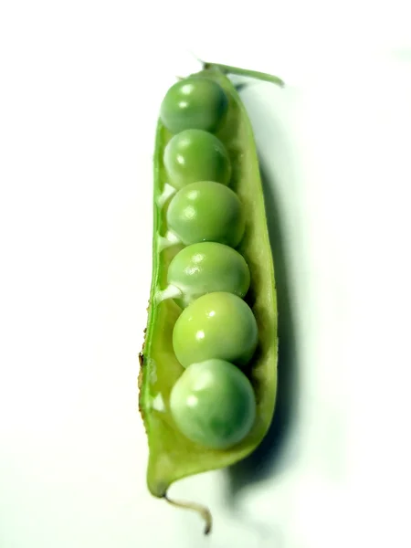One pod, several peas — Stock Photo, Image