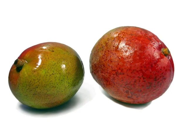 Zwei Mangos — Stockfoto