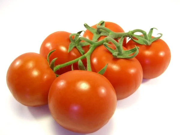Skupina rajčata — Stock fotografie