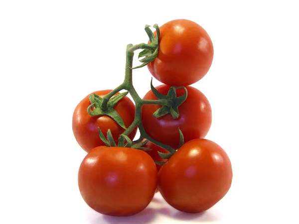 垂直トマト — ストック写真