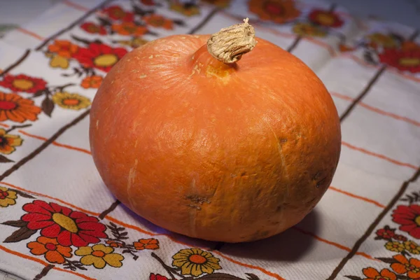 오렌지 호박 — 스톡 사진