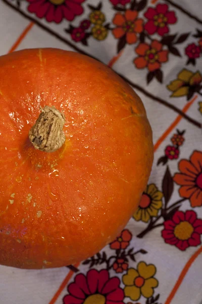 Calabaza naranja — Foto de Stock