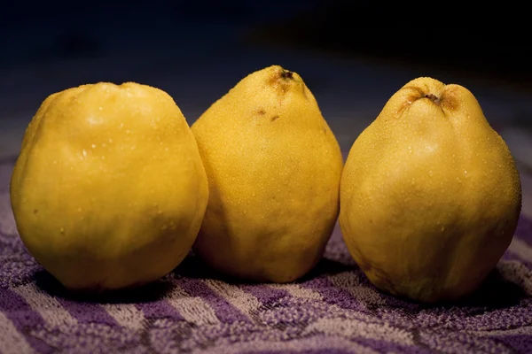 stock image Quince fruit