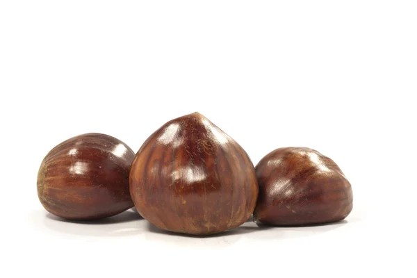 Three chestnuts Stock Picture