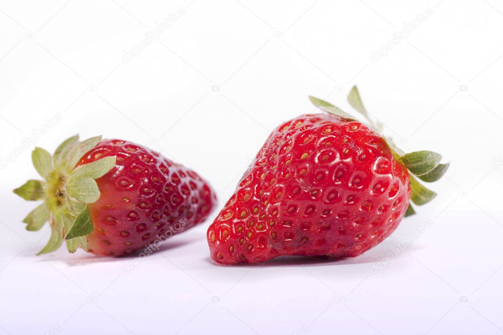 关闭视图的草莓果实被隔绝在白色背景上 图库图片