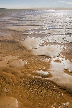 Beach shoreline