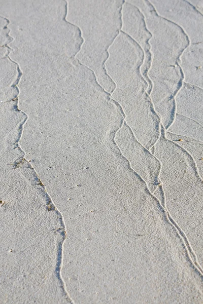 Veias de areia — Fotografia de Stock