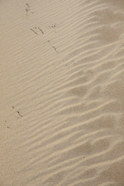 Strand Sand — Stockfoto