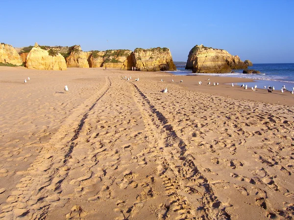 Skalista plaża — Zdjęcie stockowe