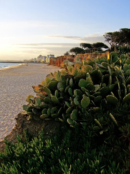 Strand von Quarteira — Stockfoto