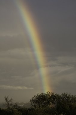 Colorful rainbow