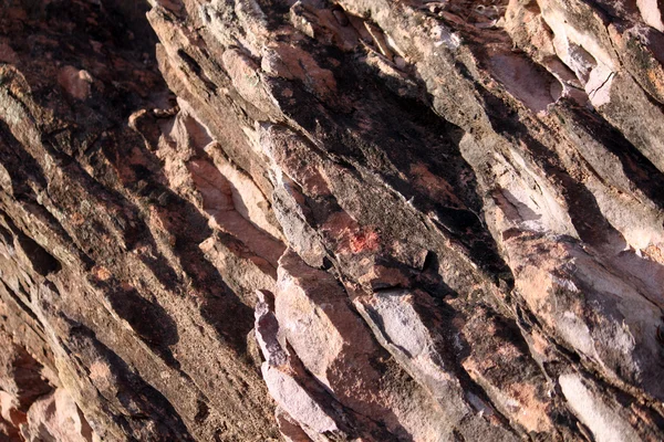 Textura rocha — Fotografia de Stock