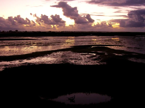 沼地の夕暮れ時 — ストック写真