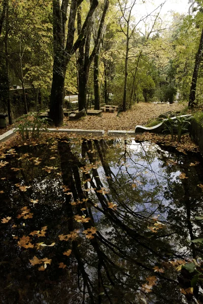 Güzel park su birikintisi ile