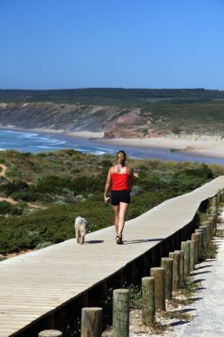 Woman walking the dog clipart