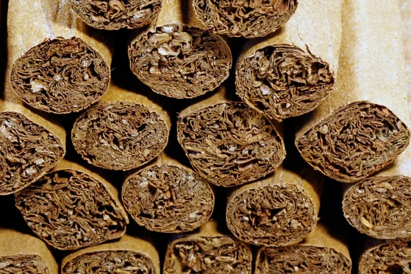 Pile of cigars — Stock Photo, Image