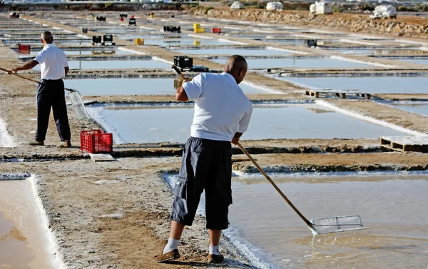 stock image Salt workers