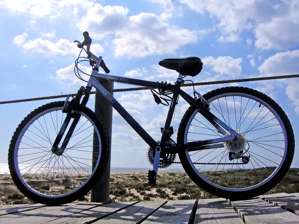 stock image Bicycle on the beach