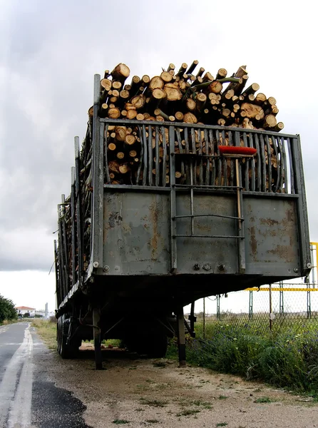 Remorque de bois empilé — Photo