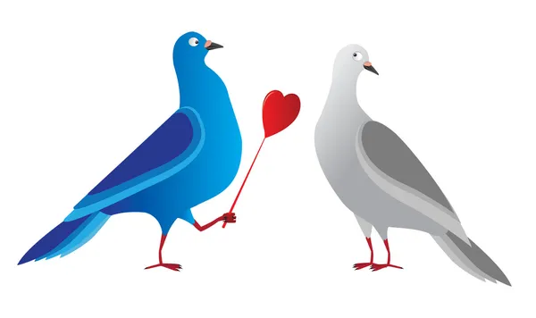 Doves pigeons heart — Stock Vector