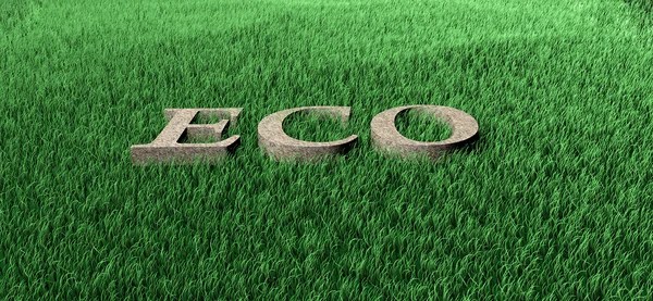 Ecologie — Stockfoto