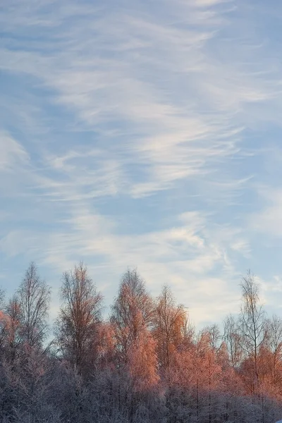 Vanilla sky — Stock Photo, Image