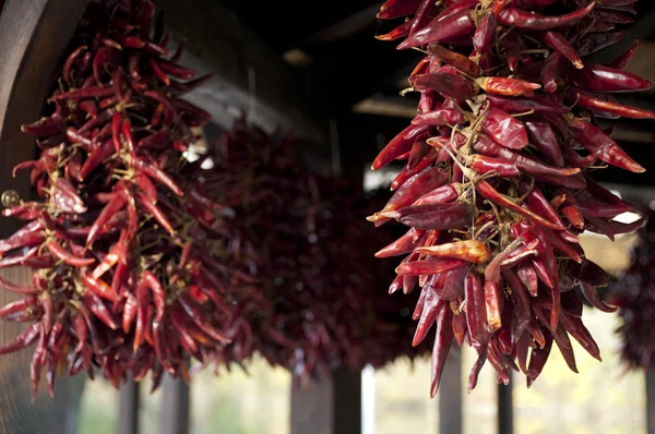 stock image Dried hungarian red pepper