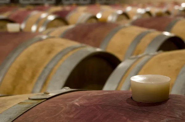 Şarap mahzeni barrique varil ile — Stok fotoğraf