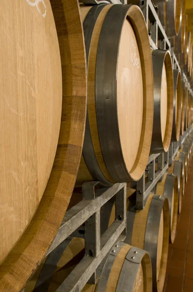 Wine cellar with barrique barrels — Stock Photo, Image