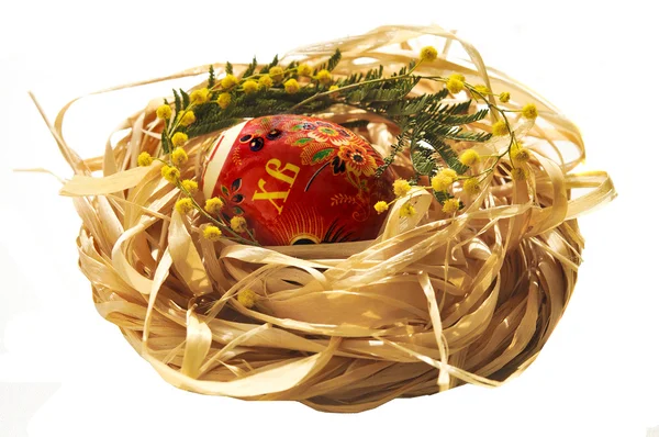 Paaseieren in een nest — Stockfoto