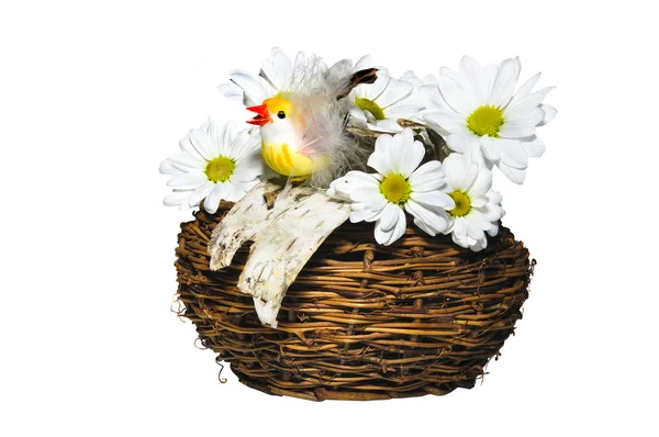花と巣の中で鶏します。 — ストック写真