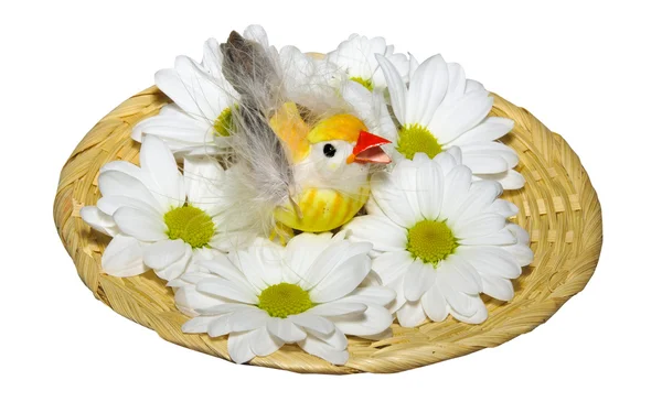 Chicken in a nest with flowers — Stock Photo, Image