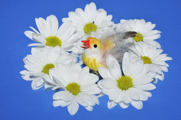 Chicken with flowers — Stock Photo, Image