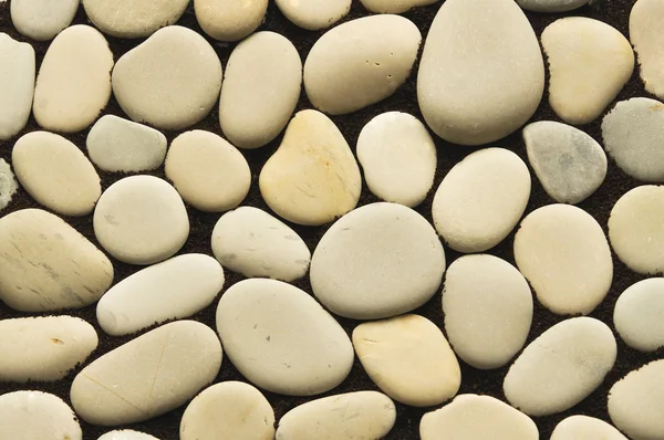 Pedras do mar de cor cinza e branca — Fotografia de Stock