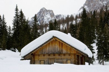 Alpine Hut