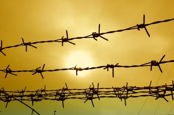 stock image Wire fence