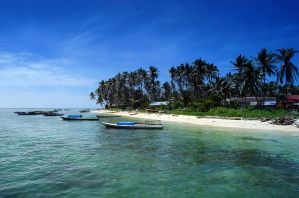 Острів Derawan — стокове фото