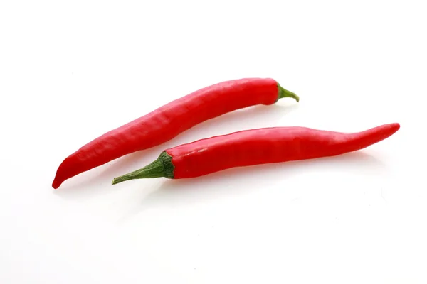 stock image Chili pepper.