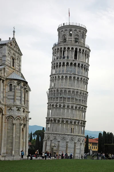 stock image Pisa tower