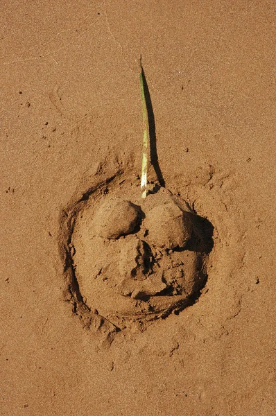 Figura na areia — Fotografia de Stock