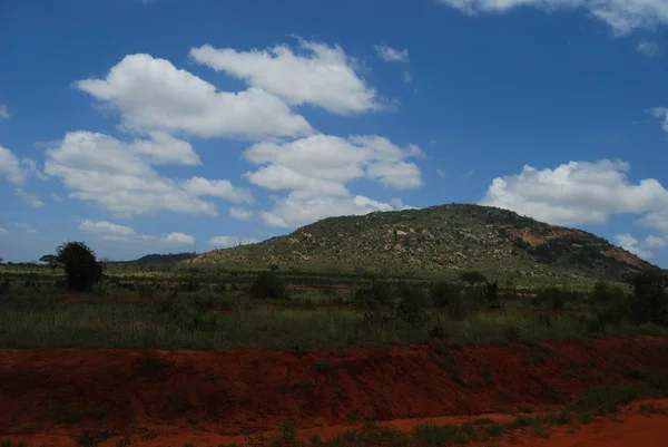 Tsavo east Nationalpark — Stockfoto
