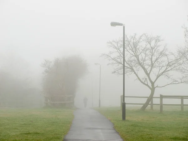 Nevoeiro cobrindo uma estrada em um parque Imagem De Stock