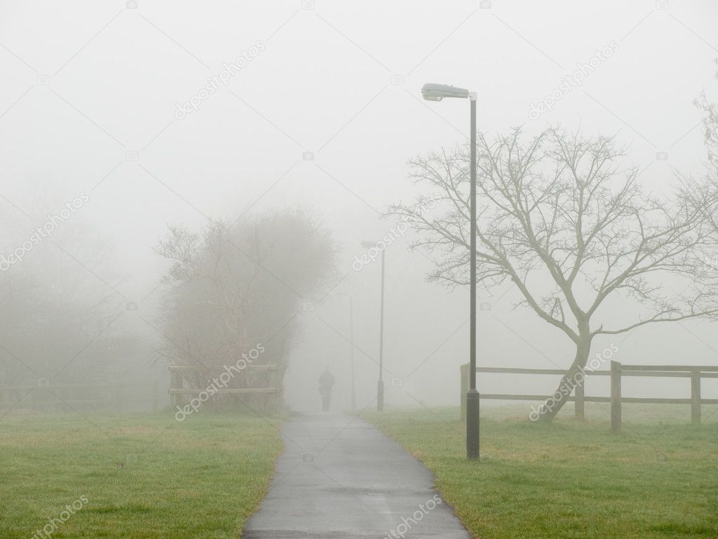 Fog covering a road in a park