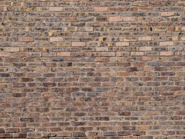 Old brick wall of a university building — Stock Photo, Image